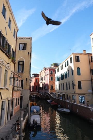 A bird flying over a canal lined with pastel buildings and a small stone bridge