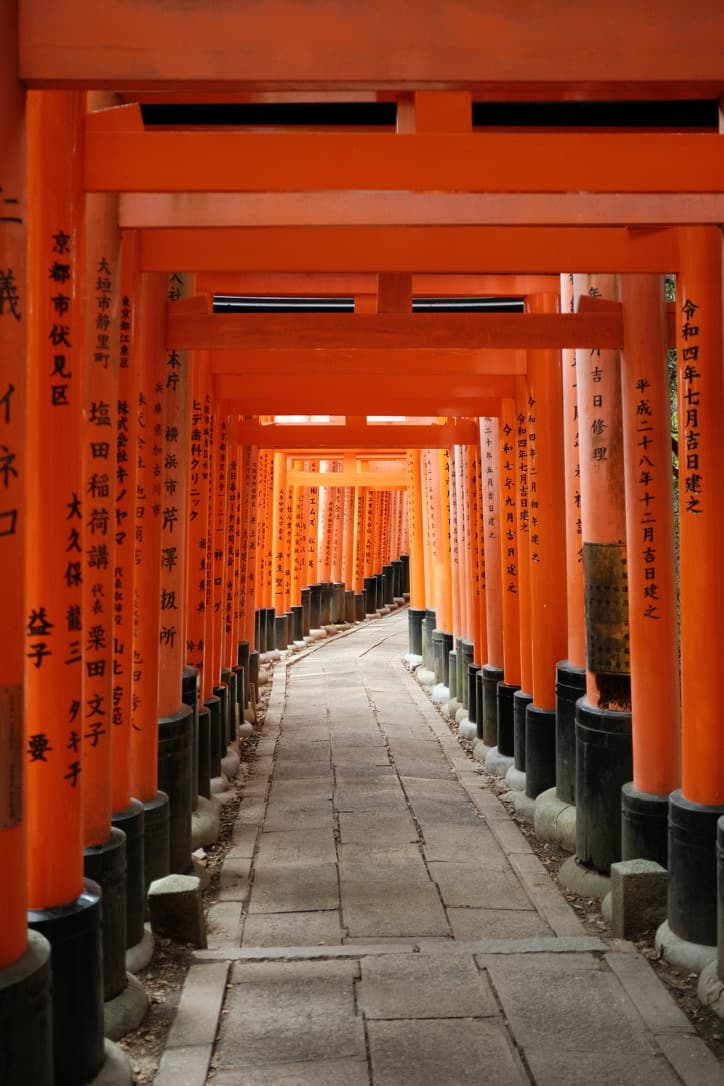 A stone path receding through a tunnel of vermilion torii gates