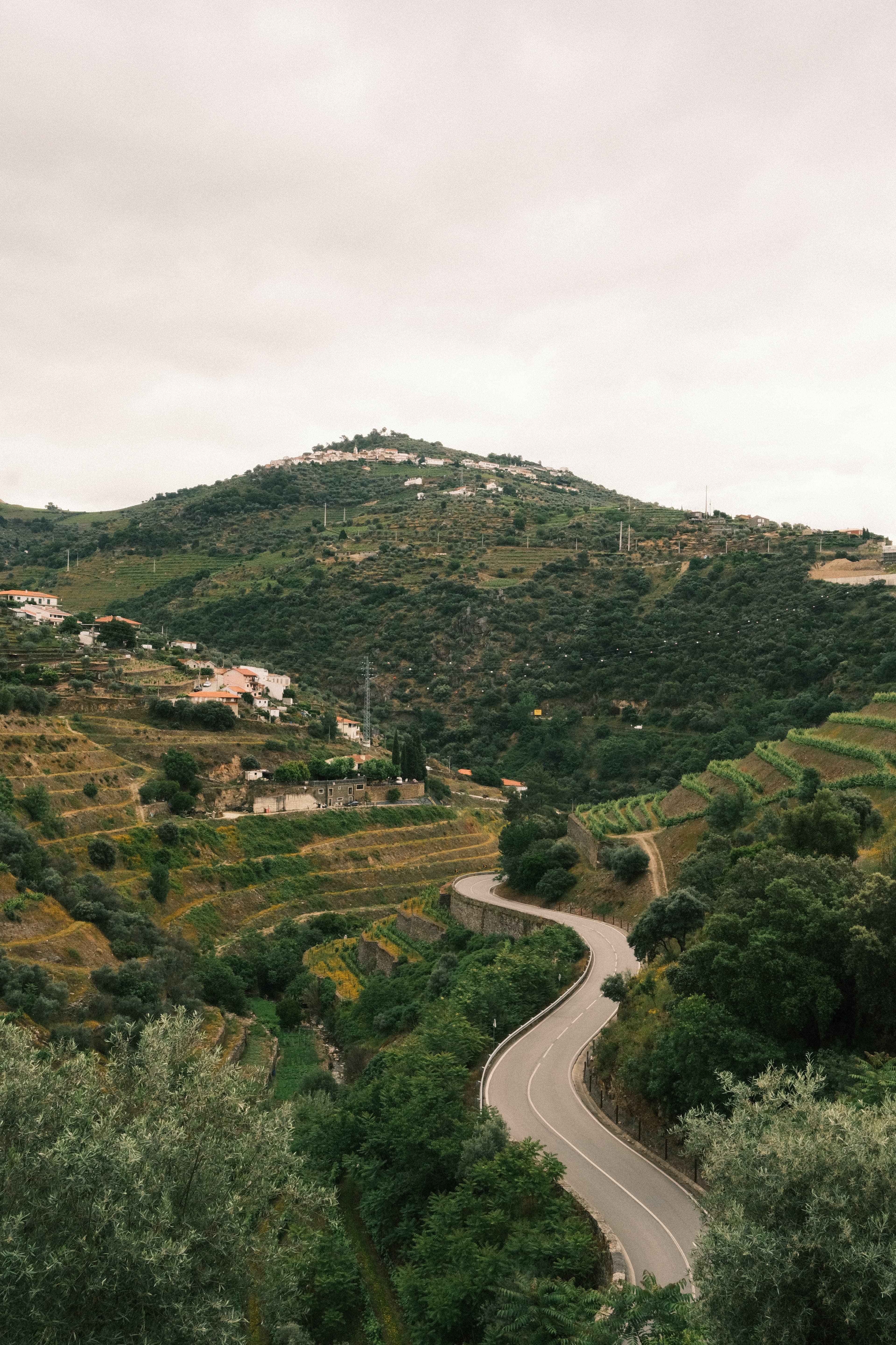 A road winding through terraced vineyards below a hilltop village
